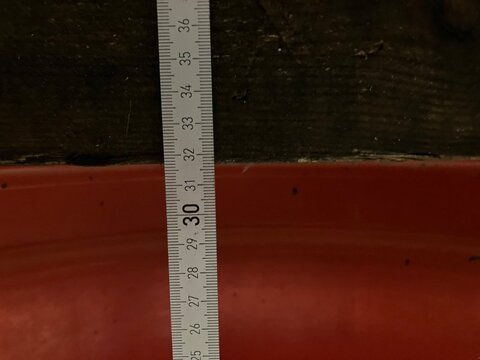 Continental 650/75 R 32