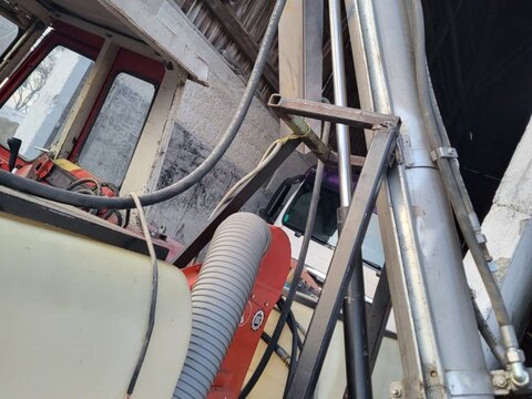 Sonstige Düngerschnecke