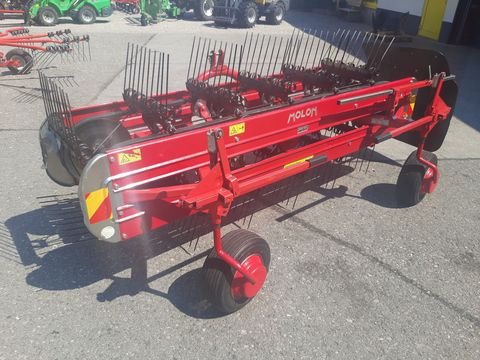 Molon M 015