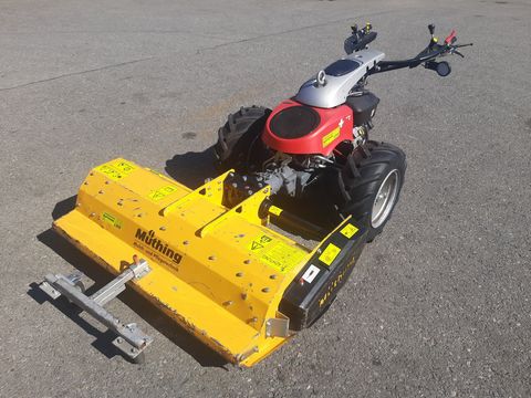 CC66  AEBI