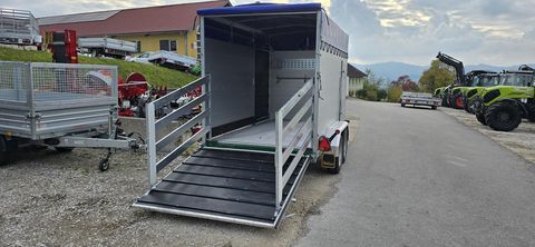 Daltec VT 2500 Premium 