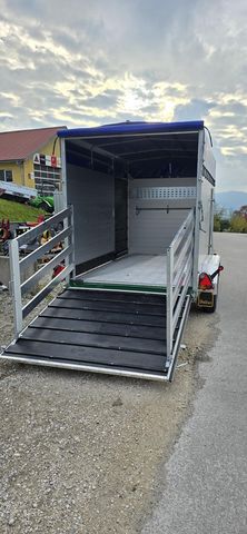 Daltec VT 2500 Premium 