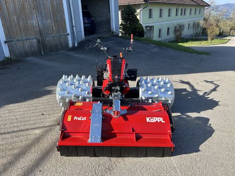 Köppl Bergtalent 23