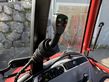 3465-cc60c46ec40bed1503ef1b0efb9cf860-5667545