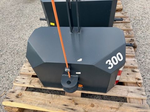 Sonstige RS FRONT + HECKGEWICHT 300 kg - AKTION