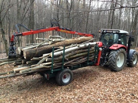 Farmi Forstanhänger ca. 8 to 2