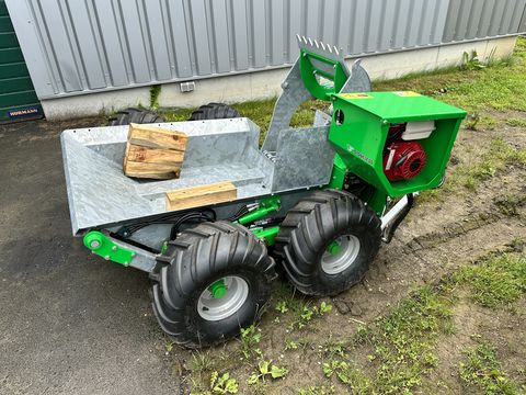 Sonstige Steinsammler - STONELESS