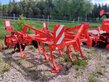 Maschio TERREMOTO 3 300
