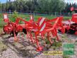 Maschio TERREMOTO 3 300