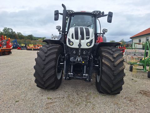 Steyr 6300 Terrus CVT (Stage V)