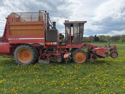 Barigelli B 3
