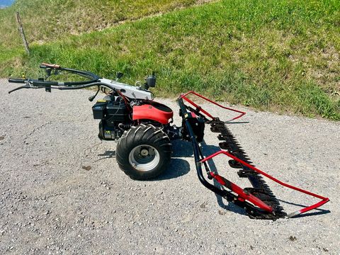 Aebi CC 36