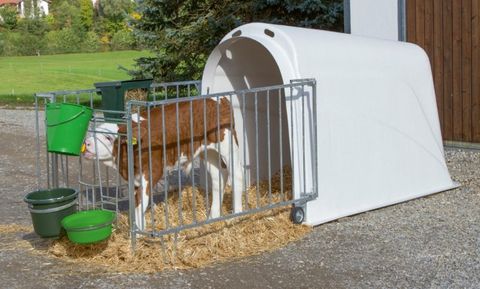 Kerbl Calf House Master Plus