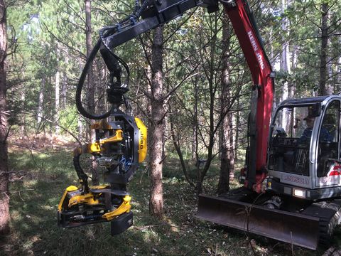 Syketec Jobo ST 50 Bambi EX