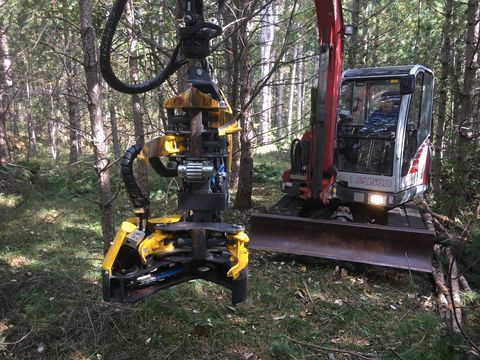Syketec Jobo ST 50 Bambi EX