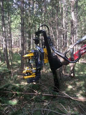 Syketec Jobo ST 50 Bambi EX