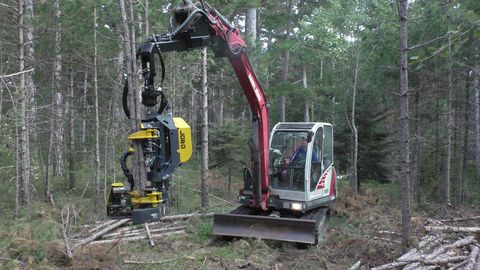 Syketec Jobo ST 50 Bambi EX