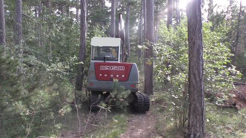 Syketec Jobo ST 50 Bambi EX