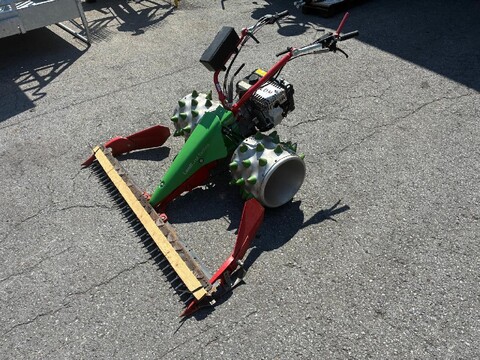 Rapid Rex