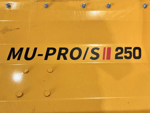 Müthing MU-PRO 250 S Vario Seitenmulcher