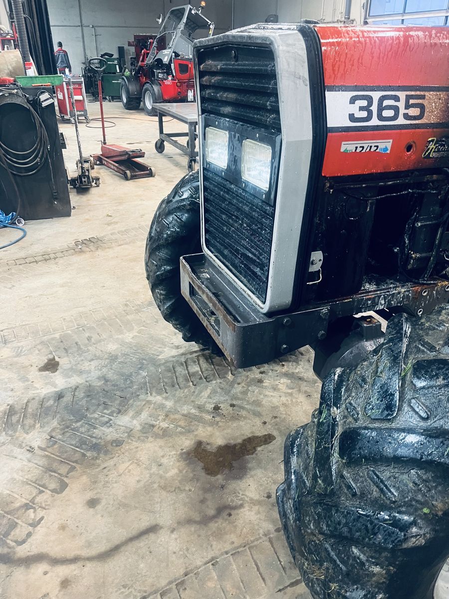 Massey Ferguson 365 1