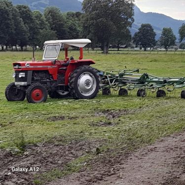 Massey Ferguson 165 MP Super