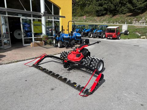 Aebi CC 161 