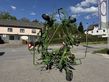 Krone KW 6.72 / 6