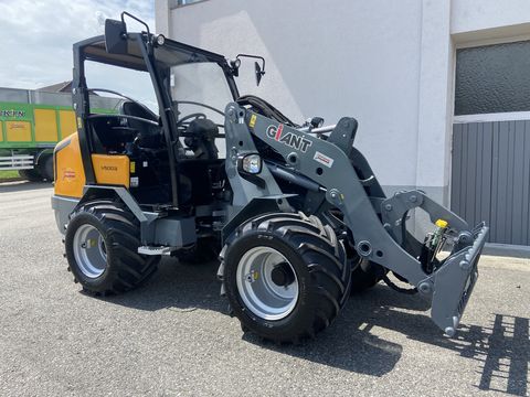 Giant V5003