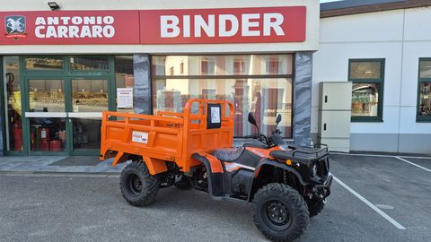 Sonstige EcoLine E-Quad Farmhorse EQ