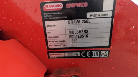 Maschio Brava L250