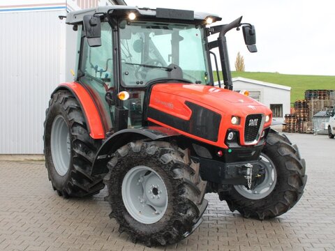 Dorado 80 Natural GS 2