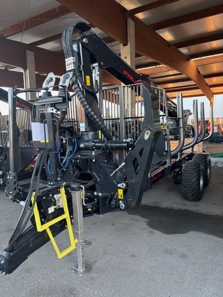 Palms H 10 D K 5.85 2