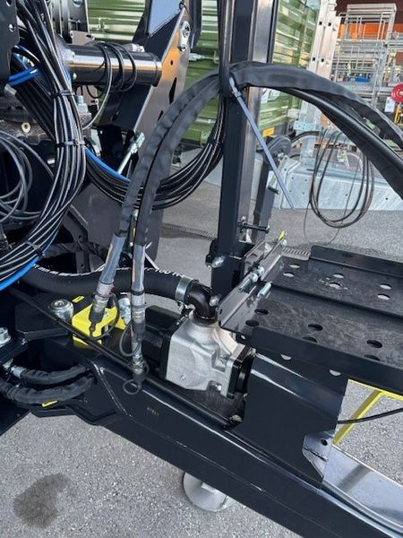 Palms H 10 D K 5.85 3