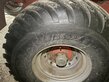3555-301f93edc07cc459871d80e808f29ba9-5613909