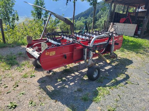 Morellato ALP&MORE