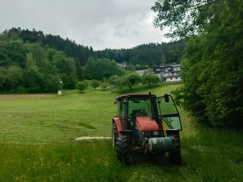 New Holland L 65 Standard 3