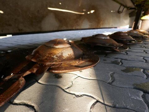 Claas Disco 3100 Contour 2