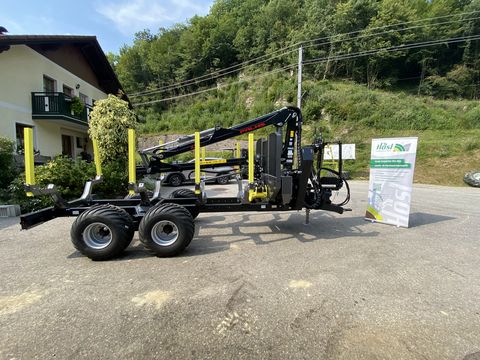 Palms Palms H8D - Neue Version mit K4.71