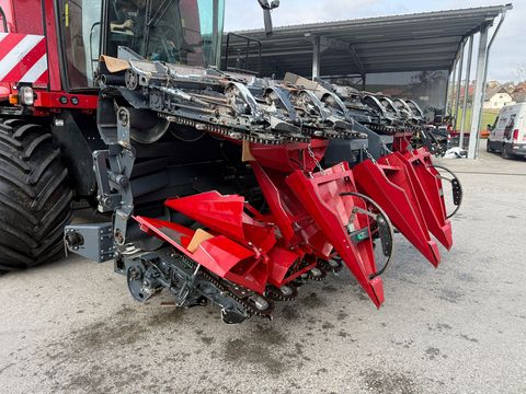 Cressoni Maispflücker 8x70 klappbar