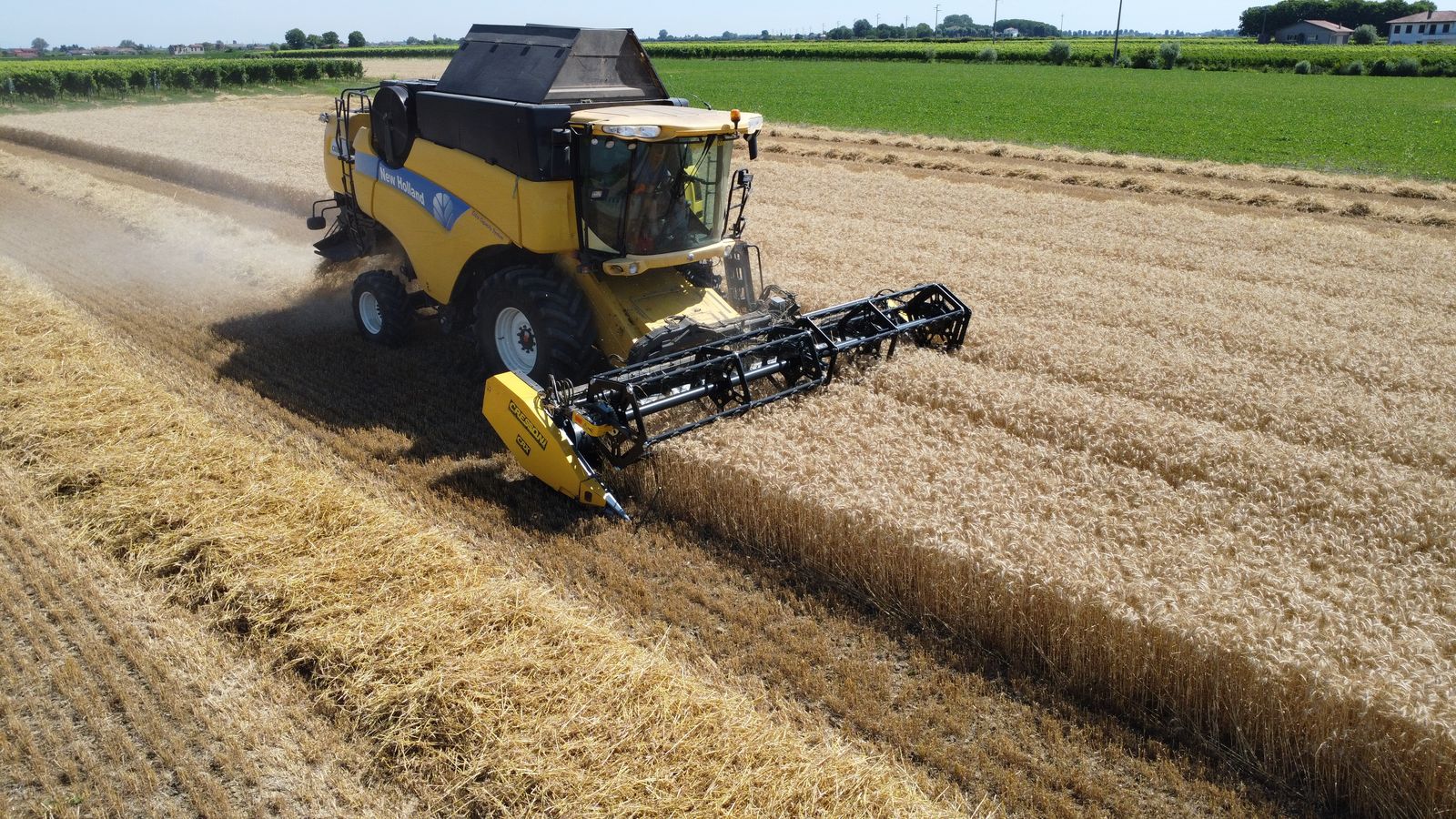 Cressoni CRX Getreide 3