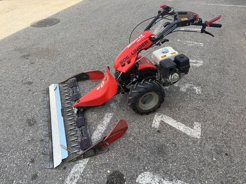 Reform MOTECH 818D