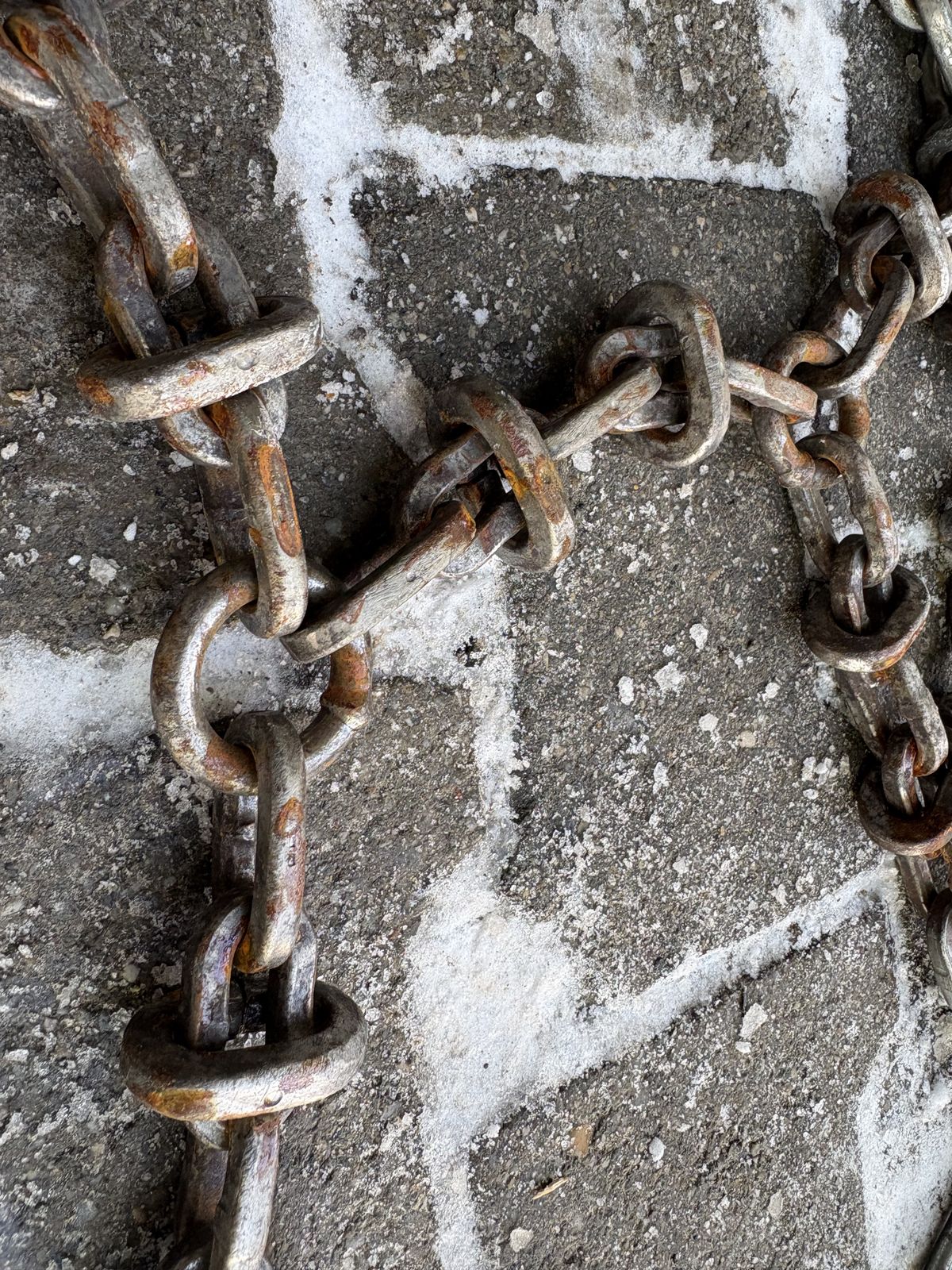 Pewag 12.4-24 oder 11.2-28 Netz 2