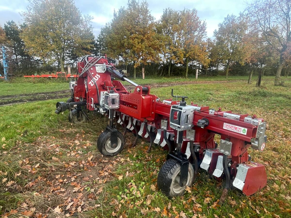 Badalini Zeus Super 13 Reihenfräse 2