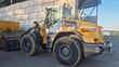 Liebherr L 546 
