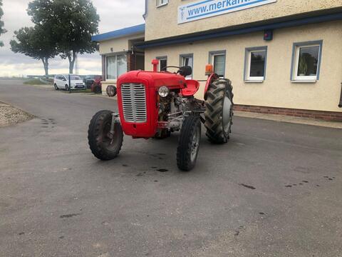 Massey Ferguson TE 20 L12L