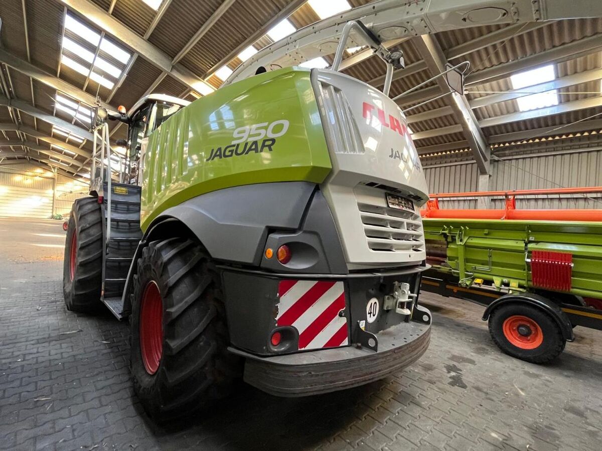 Claas Jaguar 950 2