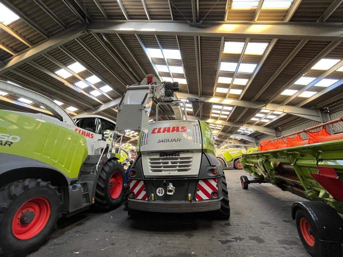 Claas Jaguar 950 3