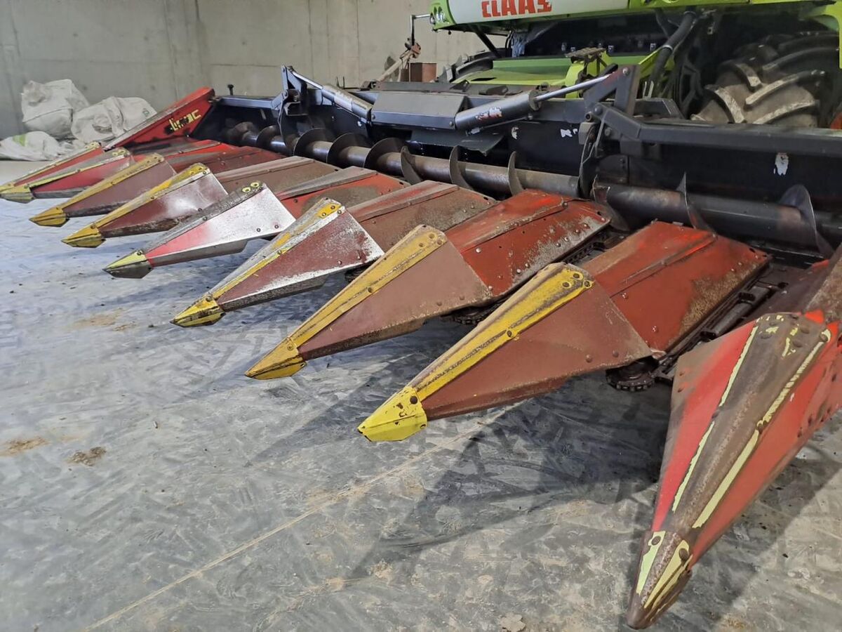 Olimac Drago NR8TR 2