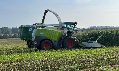 CLAAS Jaguar 980